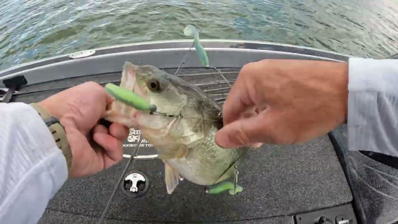 Douglas Lake Bass Fishing Black Friday Tournament Practice November 22nd