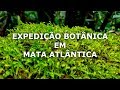Expedição Botânica em Mata Atlântica