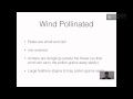 Pollination in Plants Quiz