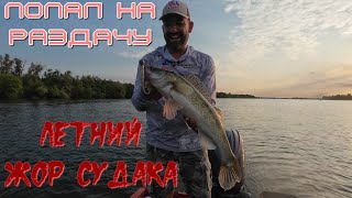 видео: Дон, отличная рыбалка, нашел стаи судака. картинка: Дон, отличная рыбалка, нашел стаи судака.