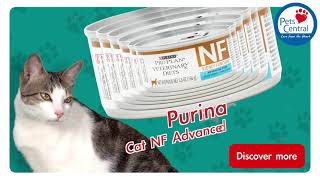 Pets Central - Purina Pro Plan Kidney Function Advanced Care Feline Formula by Pets Central 271 views 2 years ago 26 seconds