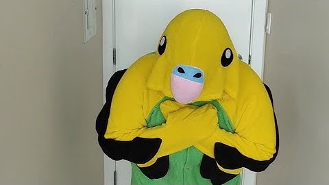 What are pinfeathers? An educational video