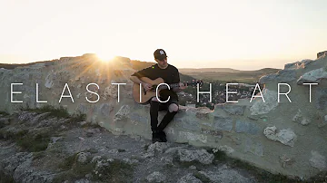 Sia - Elastic Heart (Acoustic Cover by Dave Winkler)