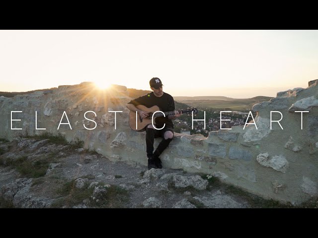 Sia - Elastic Heart (Acoustic Cover by Dave Winkler)
