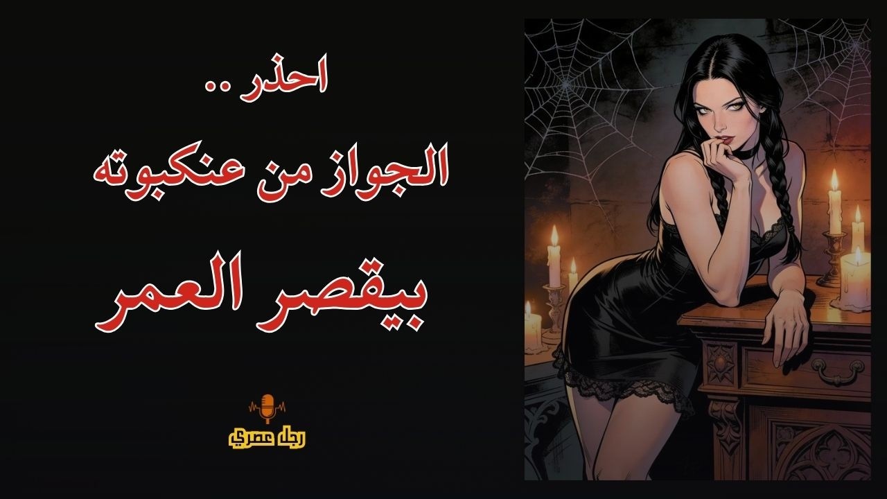 العنكبوت النونو خطفت قلبه عنكبوته .. من يومها جن جنونه وعقله اتلخبط لخبطوطه