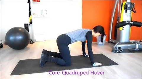 CORE- QUADRUPED HOVER