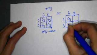 Pedigree Worksheet