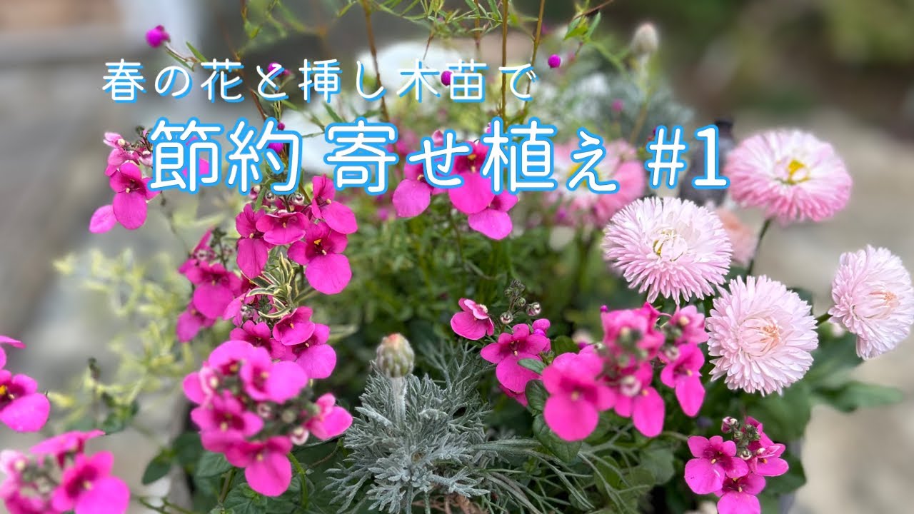春のお花と挿し木した苗で【節約 寄せ植え】 - YouTube