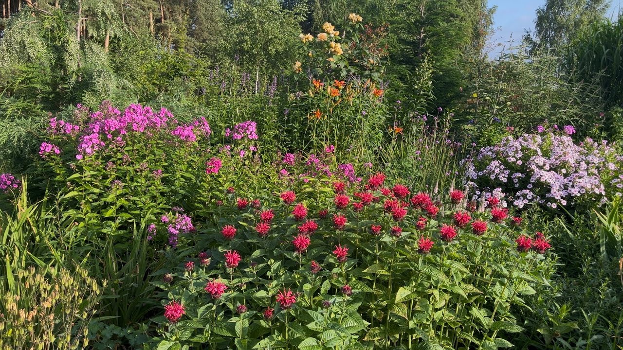 #19 odcinek Ogród Pełen Miłości i Wspólnych Chwil 💚🌳🌹