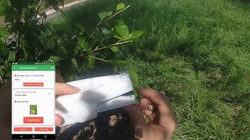 Best Measurement Practices