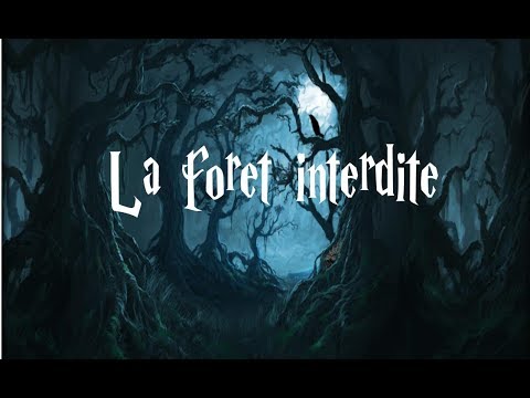 La forêt projet don Quichotte | Ce2 Cm1 Cm2