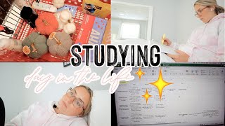 DAY IN THE LIFE STUDYING FOR THE BAR EXAM | AND STUDY TIPS