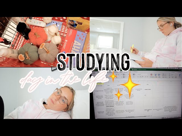 VLOG: night in my life studying for the Bar Exam 