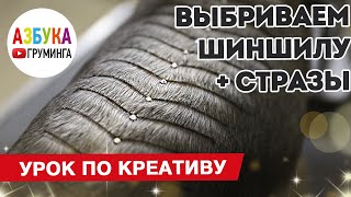 Креативный груминг в стрижке йорка - выбривание узора "шиншила"