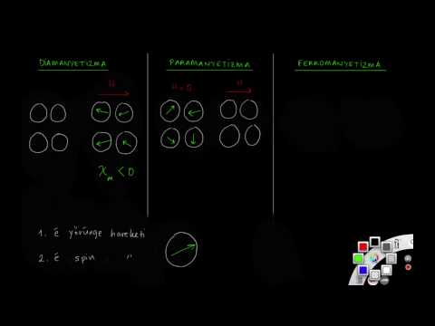 Video: Alanlar, alan teorisi temelinde ferromanyetizmayı açıklayan nedir?