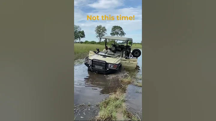 When you get stuck in The Okavango Delta... - DayDayNews