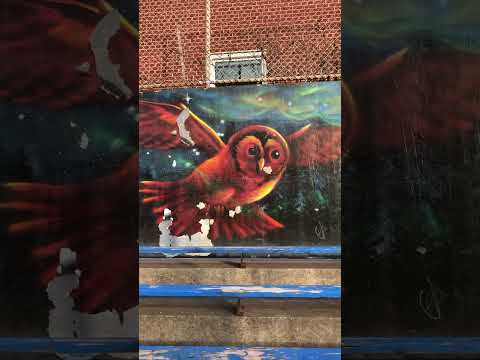 🎨 by Chief Ladybird Chippewar & Aura Last #art #graffiti #mural #streetart #paint #indigenousart