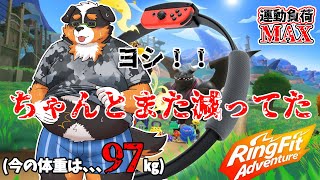 【リングフィットアドベンチャー】またちゃんと減ってるぞ～～