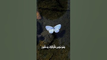سورة غافر ♡            #القرآن_الكريم #سورة_غافر