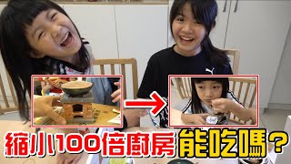 （挑戰）用縮小100倍的廚房做料理，能吃嗎?