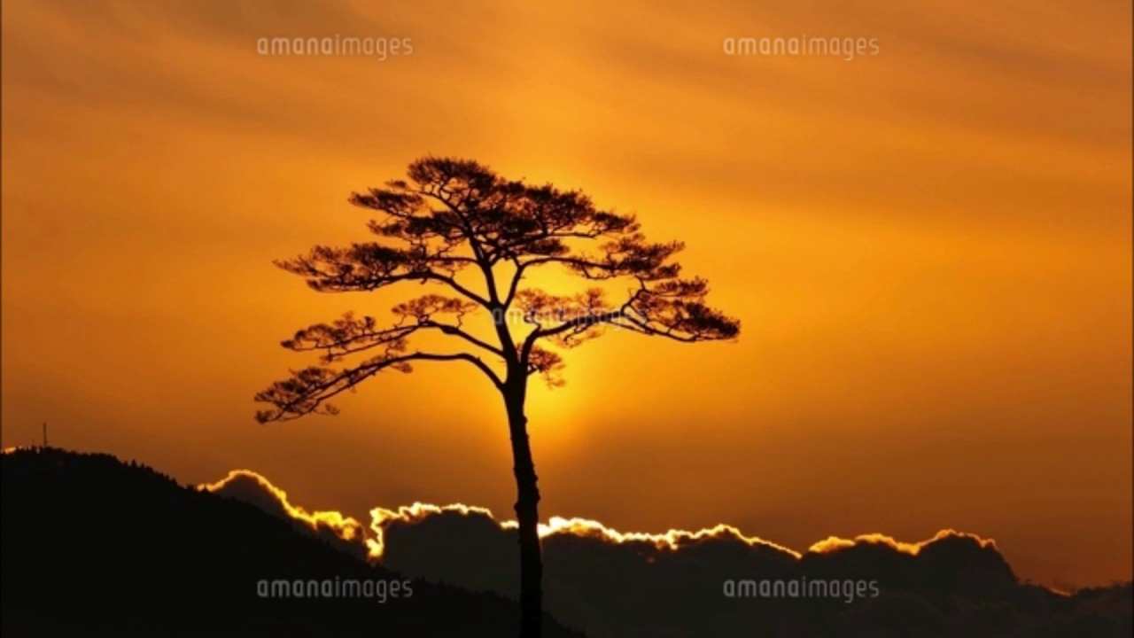 ガイアの夜明け 鼓動 エレクトーン Youtube