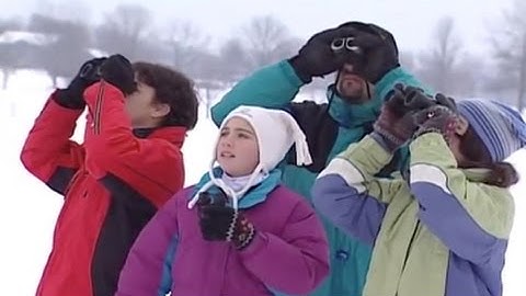 Christmas Bird Count