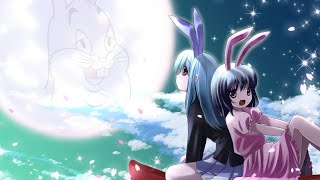 Reisen Inaba In A Nutshell