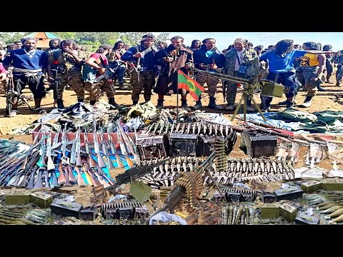 ODUU BITOOTESSA 5 2025 Injifannoo WBO Aanaa Yaayyaa Gullalle MilkeysaMedia ODUU BITOOTESSA 5 2025 Injifannoo WBO Aanaa Yaayyaa Gullalle MilkeysaMedia