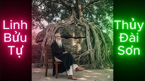 Thủy Đài Sơn, Linh Bửu Tự mùa nước nổi