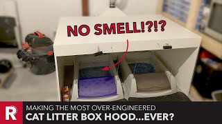 How To Eliminate Litter Box Odor in Your House