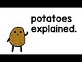 potatoes explained.