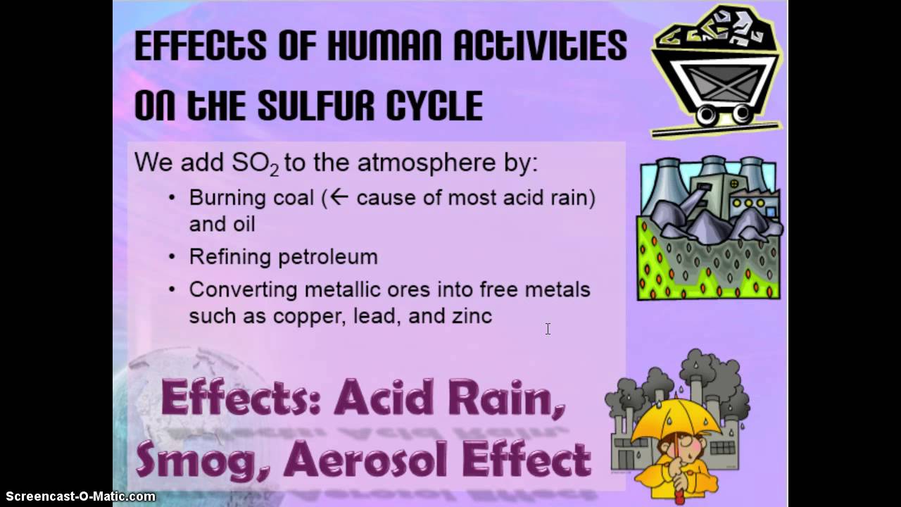 Human Impacts on the Cycles