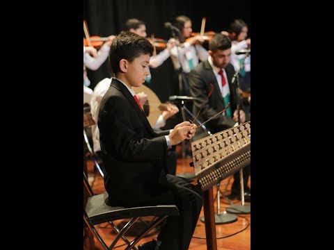 تقاسيم بمب على السنطور أداء الطفل أشرف ياسين 10 سنوات لبنان2019 هياف ياسين  