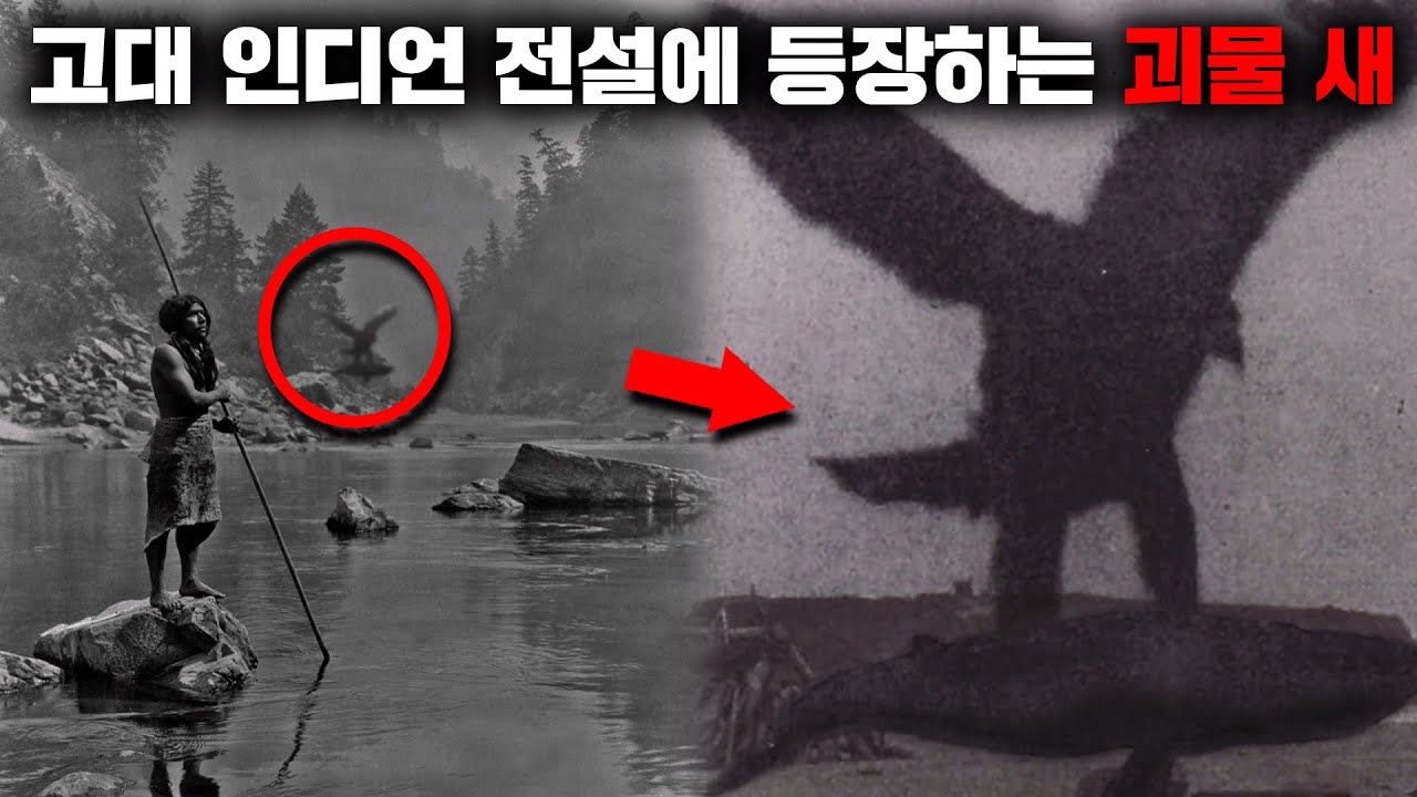 인디언 전설 속에 공통적으로 등장하는 거대 괴조 '천둥새' [미스터리]