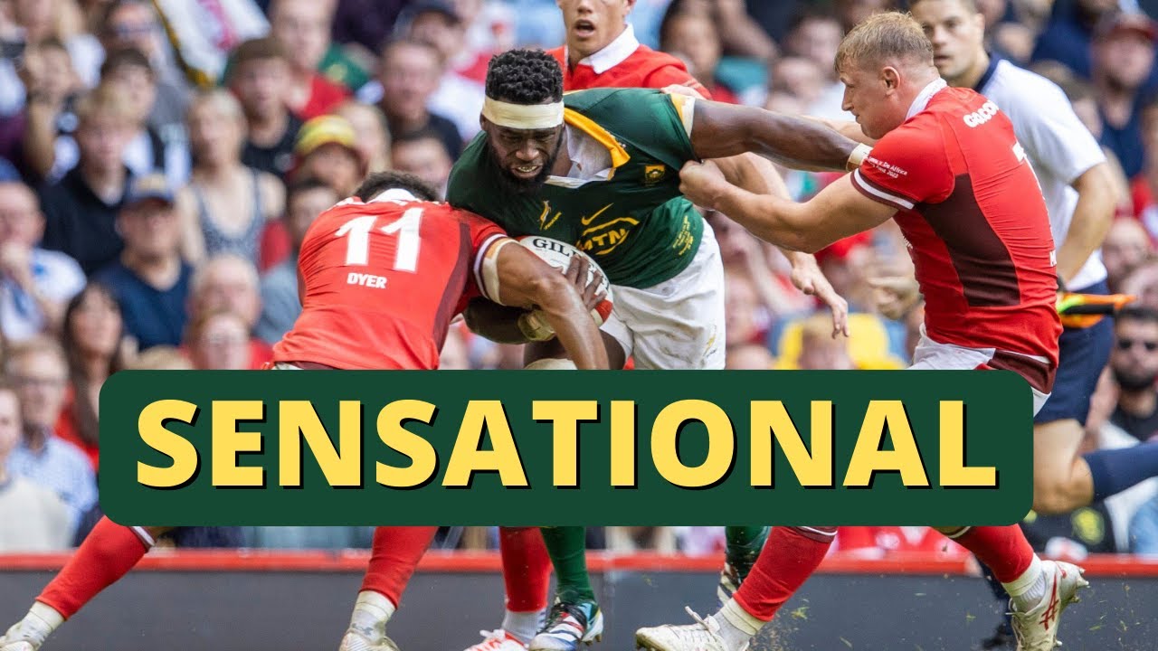 wales v south africa rugby