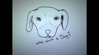 Why Walk a Dog? Jack white (Cover)
