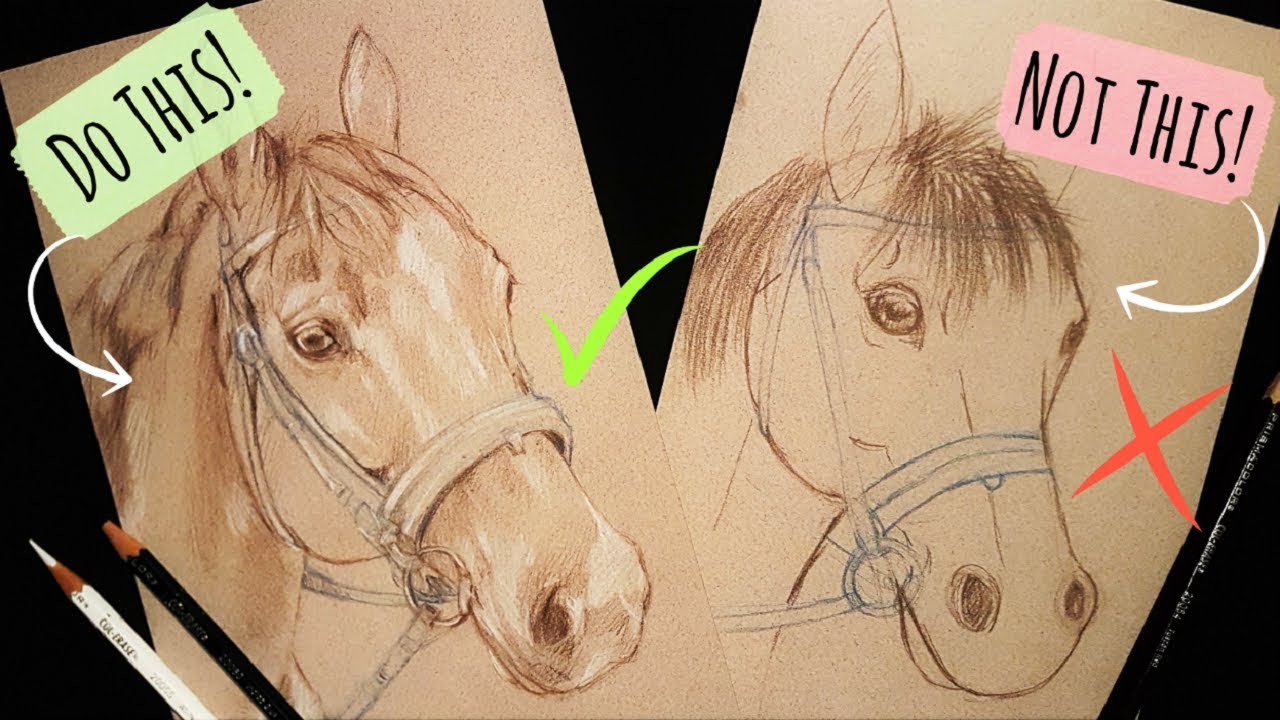 how to draw a realistic horse