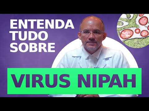 Vírus Nipah: Tudo o que você precisa saber!