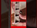 Precision dovetail joint cutting process #woodworking #carpentry #tools #shorts