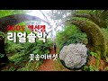 꽃송이버섯 /  360액션캠 리얼 솔로비박