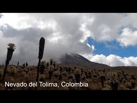 Nevado del Tolima | Travel Video 2020