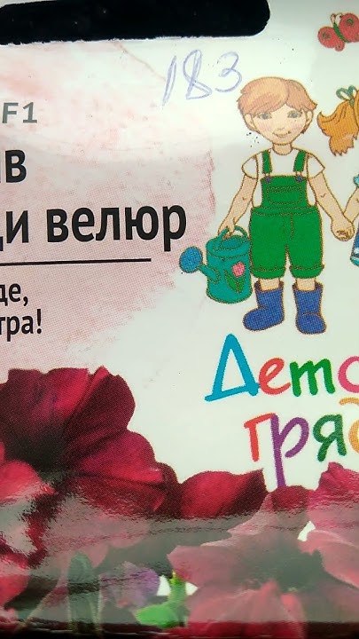 17.02.2023 Всходы Изи Вейв Бургунди велюр(13.02.23 посев) - YouTube