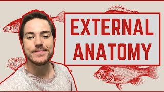 Ichthyology Lesson 3 - External Anatomy