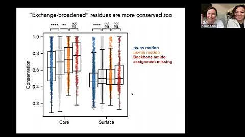 Learning millisecond protein dynamics from what is missing in NMR spectra