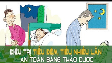 Điều trị tiểu đêm, tiểu nhiều lần an toàn bằng thảo dược | Sức khỏe vàng VTC16