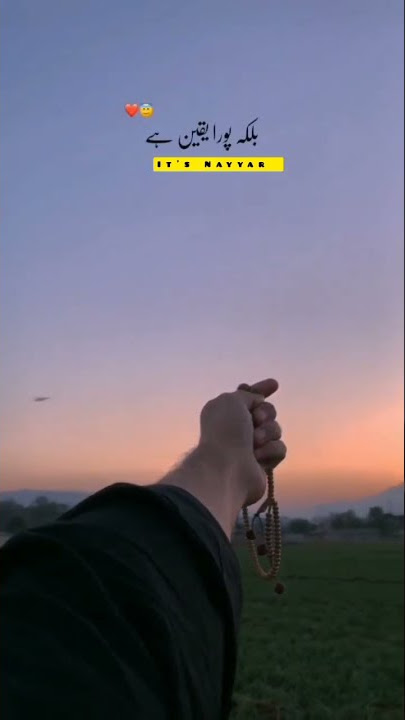 💫Ya Allah Mujhe Ummed Hi Nahi Balki Yaqeen Hai❣️ |New Sabr Special Status🦋#shorts#ytshorts #trending