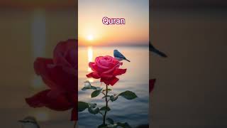surah baqrah aayat 152 urdu translation #quran #views #allah #love