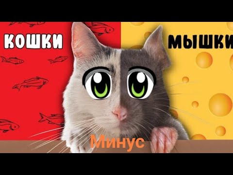 А Ну-Ка Давай-Ка Кошки Мышки Минус