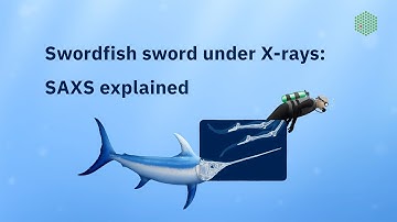 Explainer: how small-angle X-ray scattering (SAXS) is used in life science research