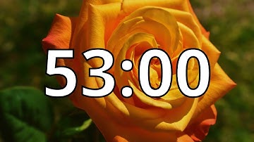 53 Minutes Timer with Music | Spring Timer